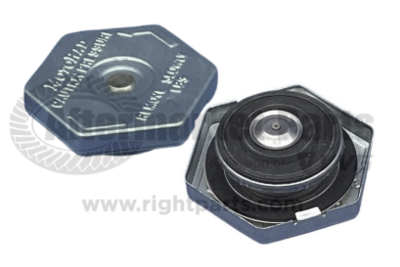 15110002 Cap Radiator